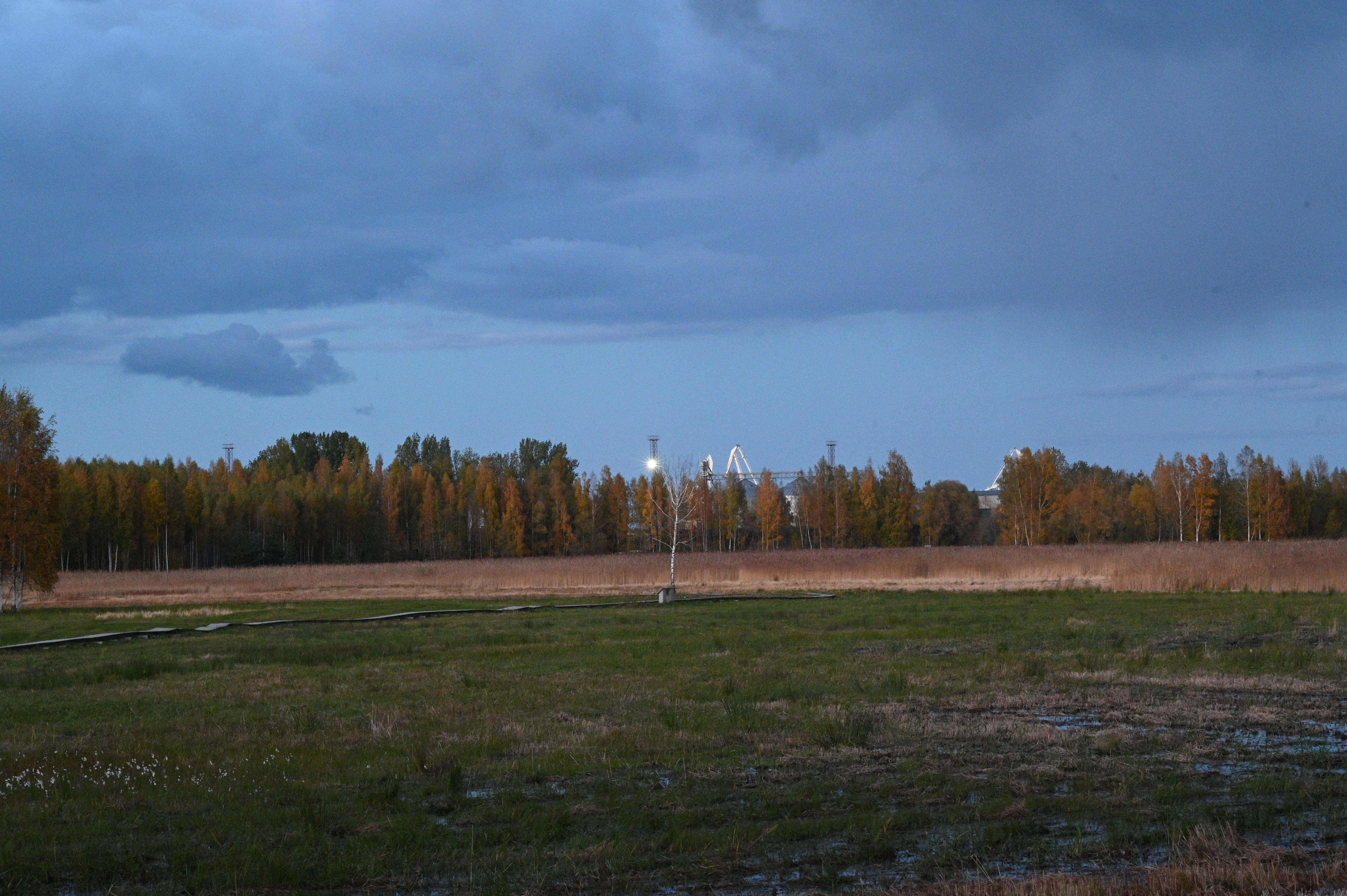 2025/10/18 - walk/DSC_0607.JPG